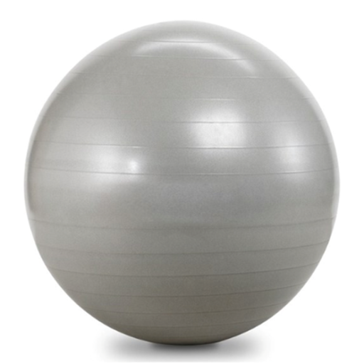Exercise Ball provided by Vitality